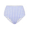 Sky Gingham